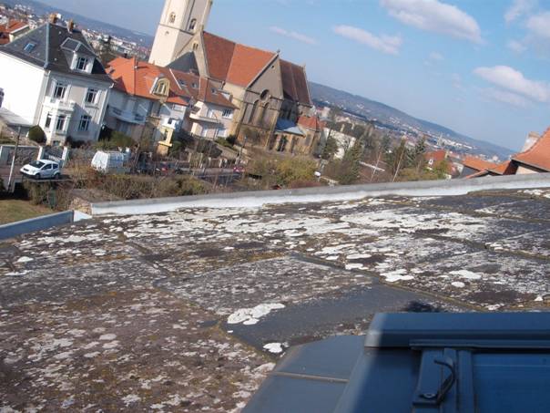 DSCF1378 [1280x768].JPG